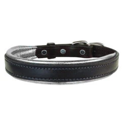 Perris Metallic Padded Leather Dog Collar