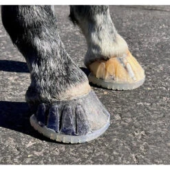 EasyShoe Versa Grip Octo Front Shoe Pair -Wahl Sales 2024 esvgo 5 39d231a6 db38 415b 8f57 7515ab47b0cc