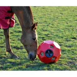 Burlingham Sports Slow Feed Hay Ball Toy Feeder -Wahl Sales 2024 hbf 500 c1158