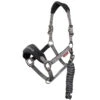 LeMieux Vogue Halter And Leadrope Set -Wahl Sales 2024 it0082 c1105