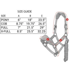 LeMieux Vogue Halter And Leadrope Set -Wahl Sales 2024 it0082 c1105 alt2