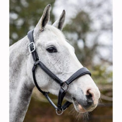 LeMieux Stitched Anatomical Leather Halter -Wahl Sales 2024 it00882 c1105 alt3