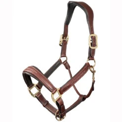 LeMieux Stitched Anatomical Leather Halter -Wahl Sales 2024 it00882 c1109 alt1