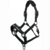 LeMieux ProSafe Headcollar -Wahl Sales 2024 it0323 c1105