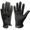 Kunkle Equestrian Premium Show Glove -Wahl Sales 2024 ksg01 c1105 alt2