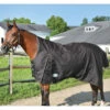 Country Pride Paladin High Neck Heavyweight Turnout Blanket -Wahl Sales 2024 ktl1540 c1105 bdfe22fe 9fdc 4473 9001 8cd442392e95