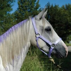 Tail Tamer Pony Paints 4 Oz -Wahl Sales 2024 ppnts c1106 alt2