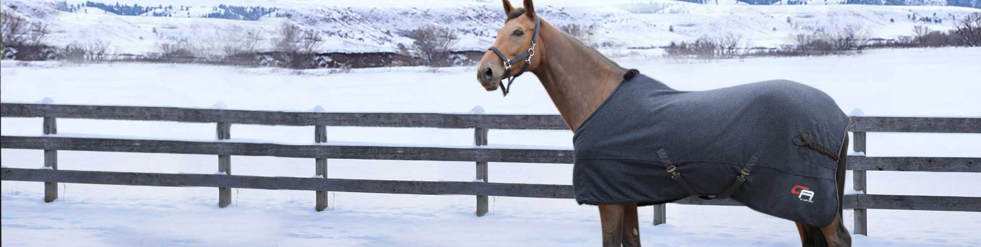 Front Page -Wahl Sales 2024 banner654